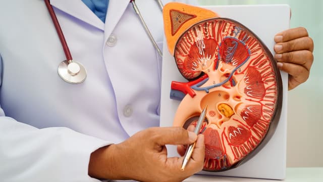 Best Dialysis Care Tips for Kidney Patients Bangalore 