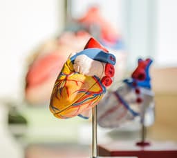 Cardiology (Non-Interventional)