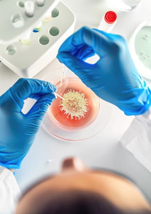 Targeted therapy and immunotherapy