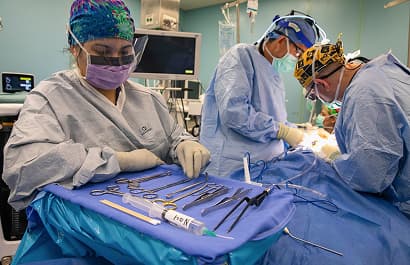 Minimally Invasive Surgery